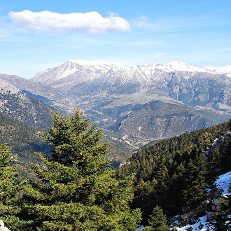 Ανάβαση στον Ολίγυρτο (Κορυφή Σκίπιζα 1.935μ.)